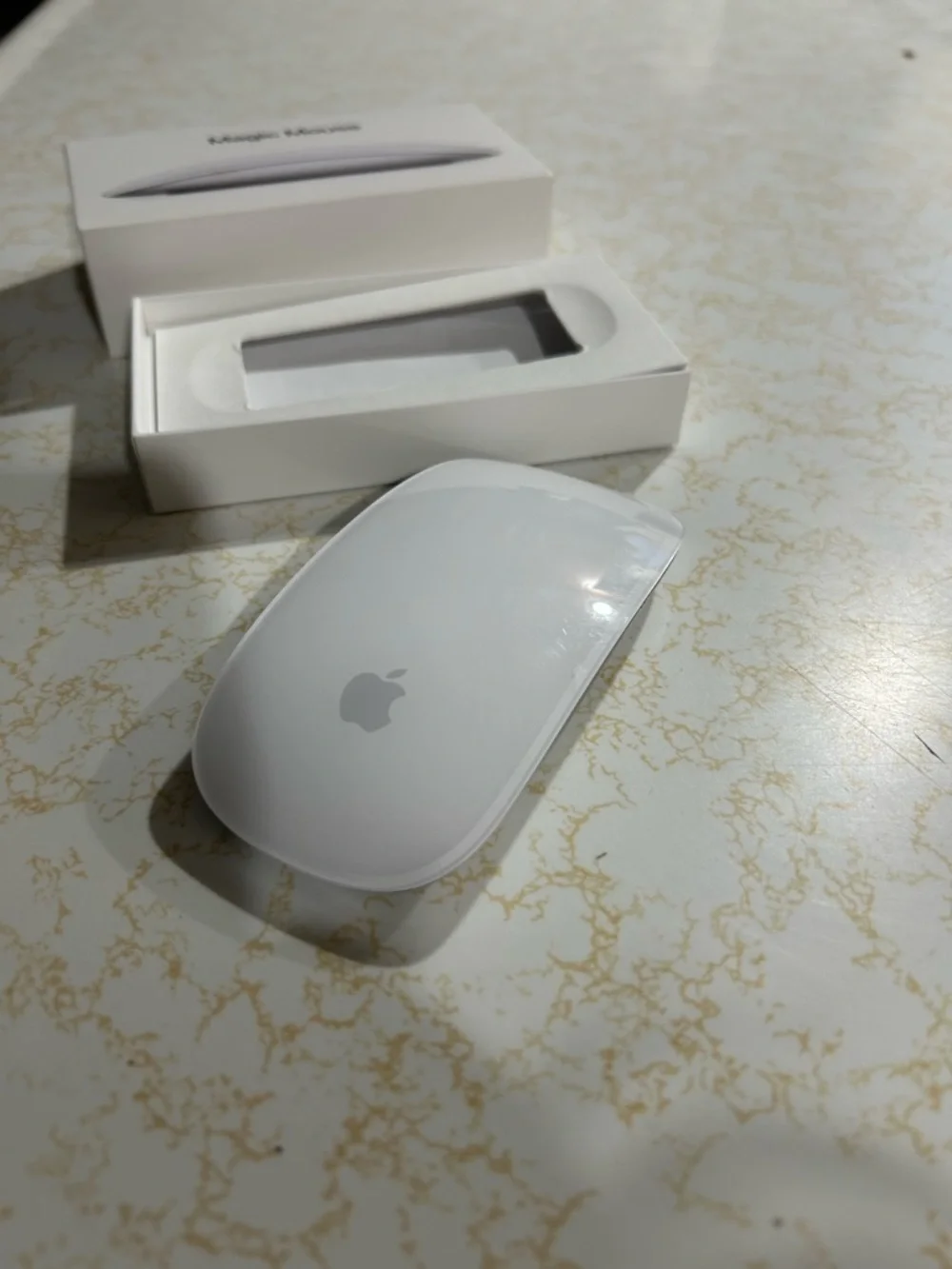 Apple Magic Mouse in White and Silver Finish